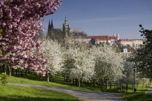 Die Prager Burg | Hotel Páv Prag
